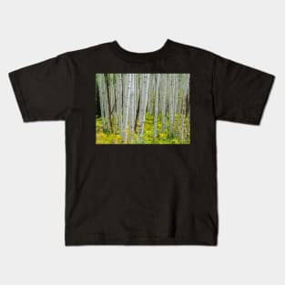 Aspen Trees Kids T-Shirt